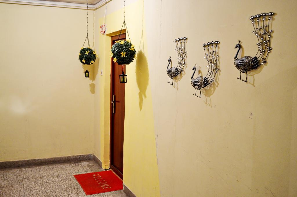 Apartment Adela Požarevac Стая снимка